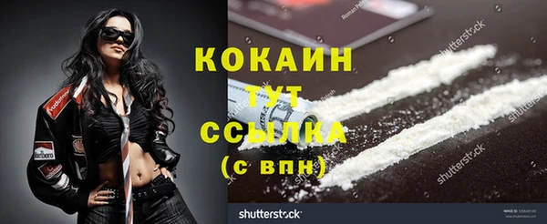 не бодяженный Ладушкин