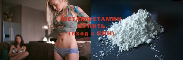 прущие грибы Чита