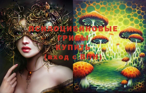 mix Лабытнанги