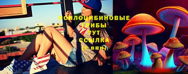 не бодяженный Ладушкин