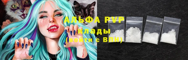 прущие грибы Лихославль