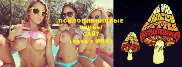 не бодяженный Ладушкин