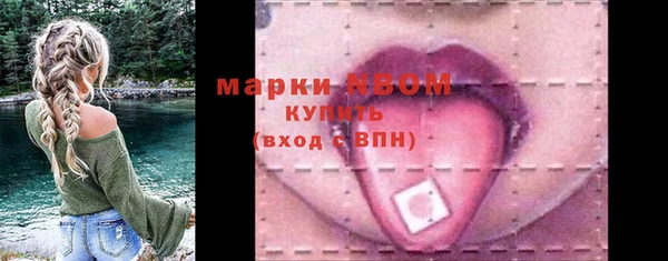 гашик Кинешма