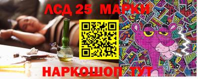 СК Новокубанск