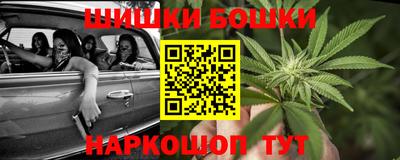 соль ск Новодвинск