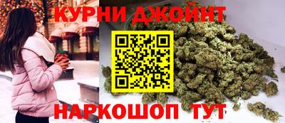СК Новокубанск