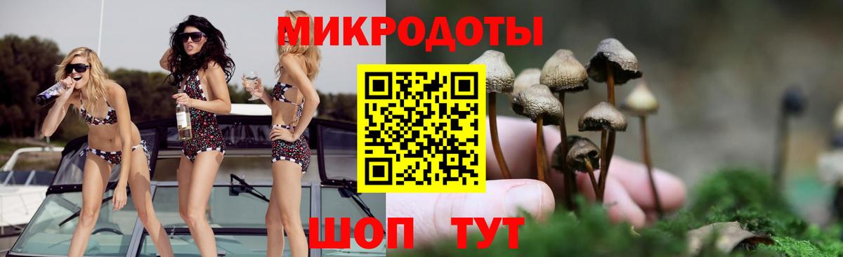 Псилоцибиновые грибы ЛСД  Вход с VPN  Михайловка  Псилоцибиновые грибы MAGIC MUSHROOMS 