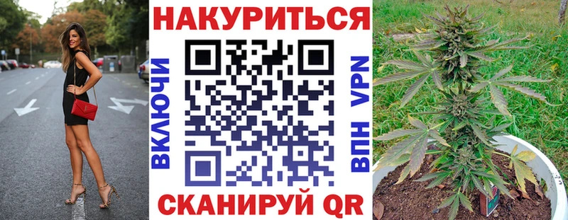 Бошки марихуана индика  купить  сайты  кракен зеркало  Михайловка 