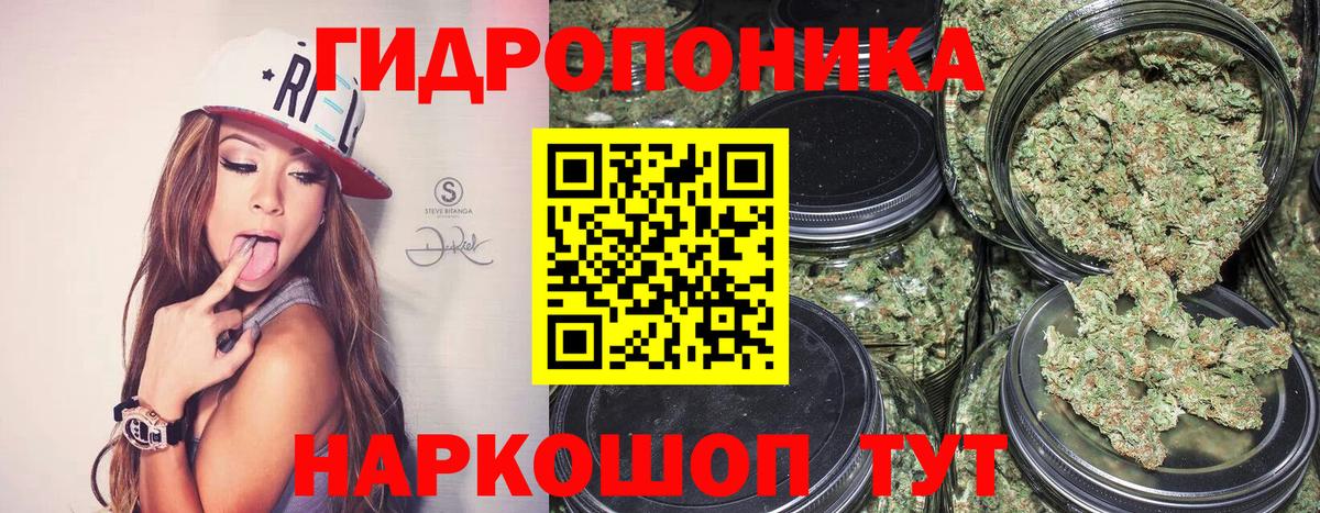 Бошки марихуана гибрид  Бошки Шишки тримм  Вход с VPN  МАРИХУАНА марихуана  Михайловка 